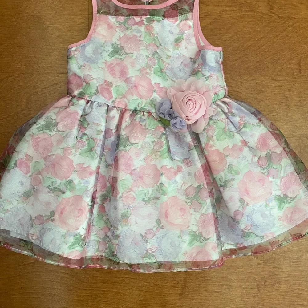 Beautiful Kids Dress 18m - Picture 1 of 5